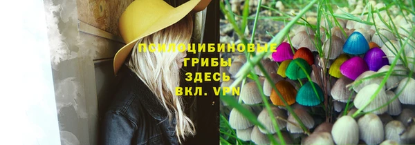 герыч Верхний Тагил
