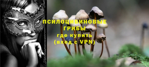 герыч Верхний Тагил