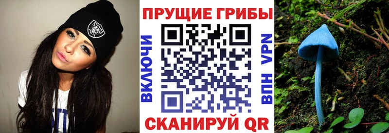 Псилоцибиновые грибы Cubensis  omg ONION  Новосокольники  наркотики 